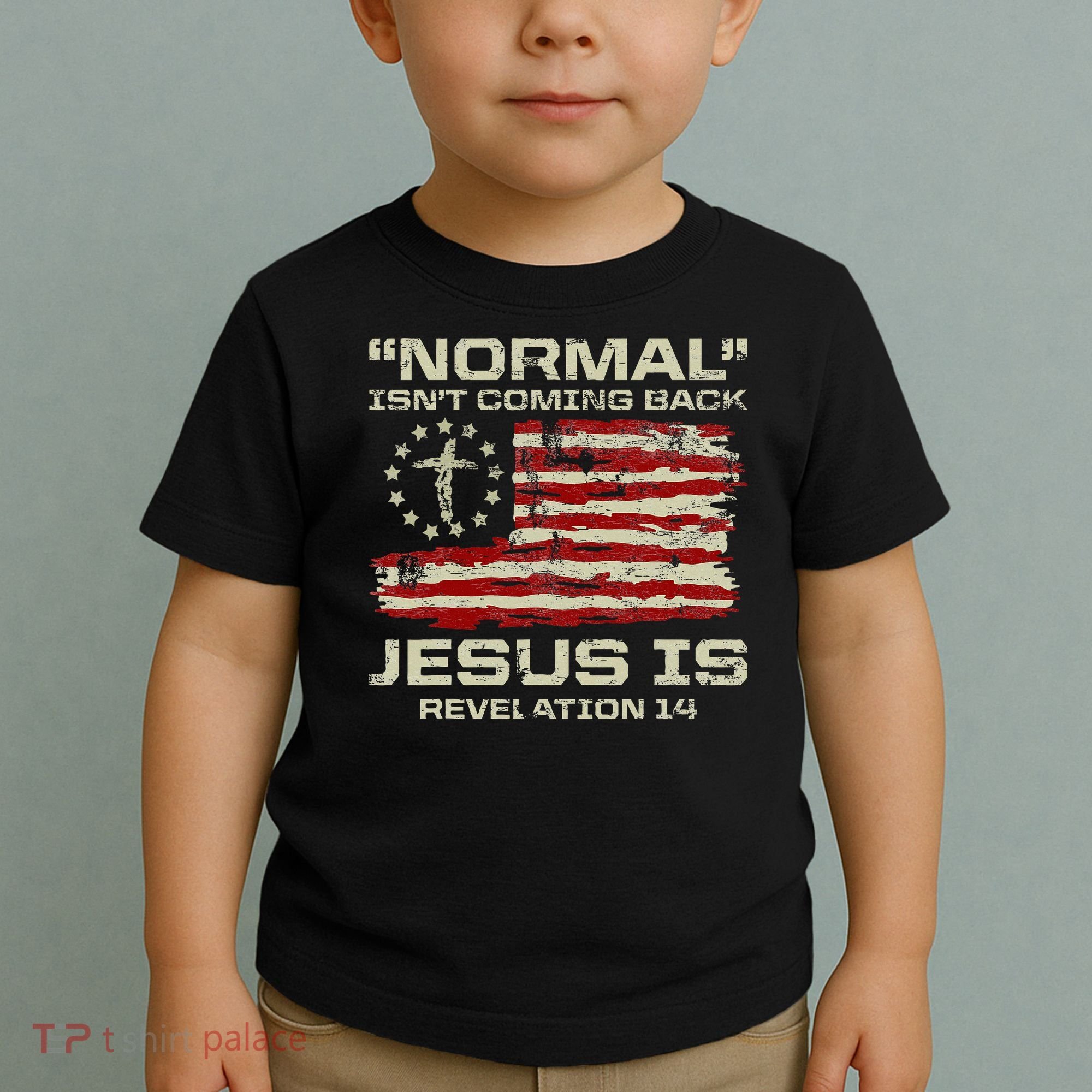 Normal IsnT Coming Back Jesus Is Christian American Flag Toddler T-Shirt