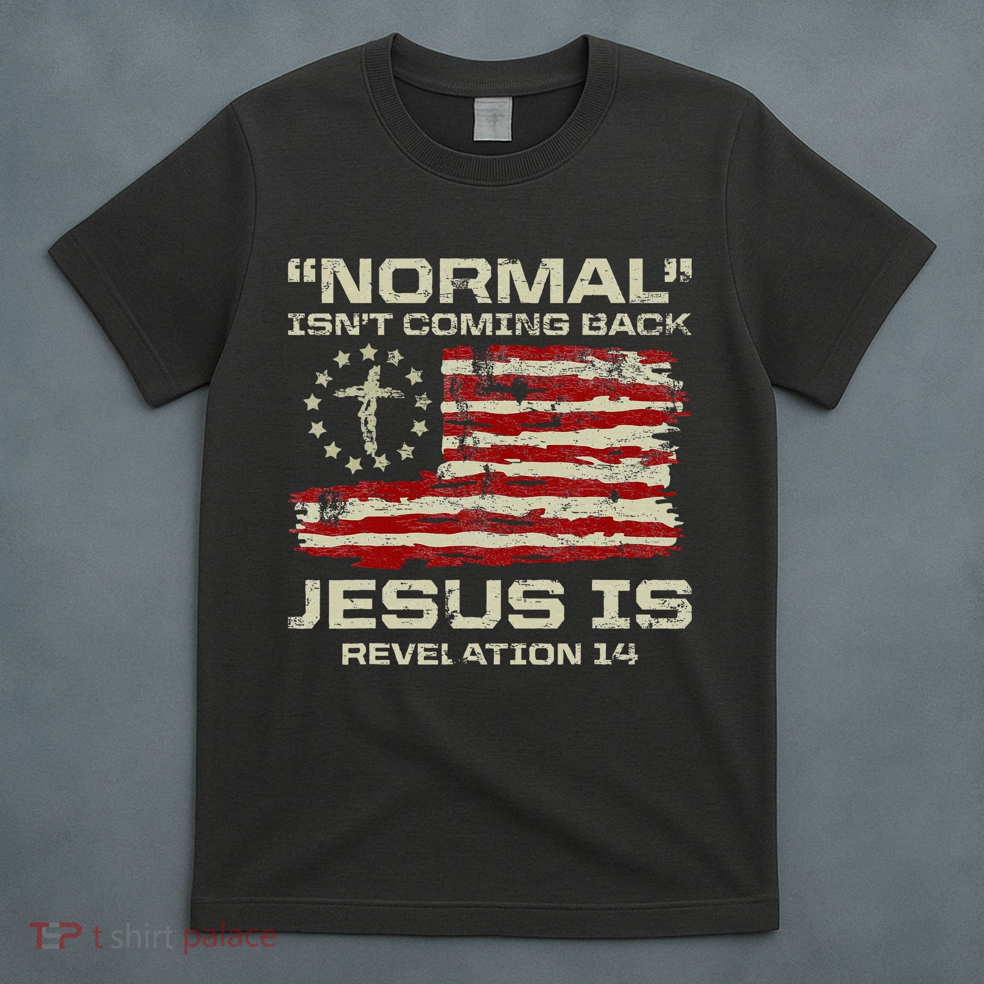 Normal IsnT Coming Back Jesus Is Christian American Flag T-Shirt