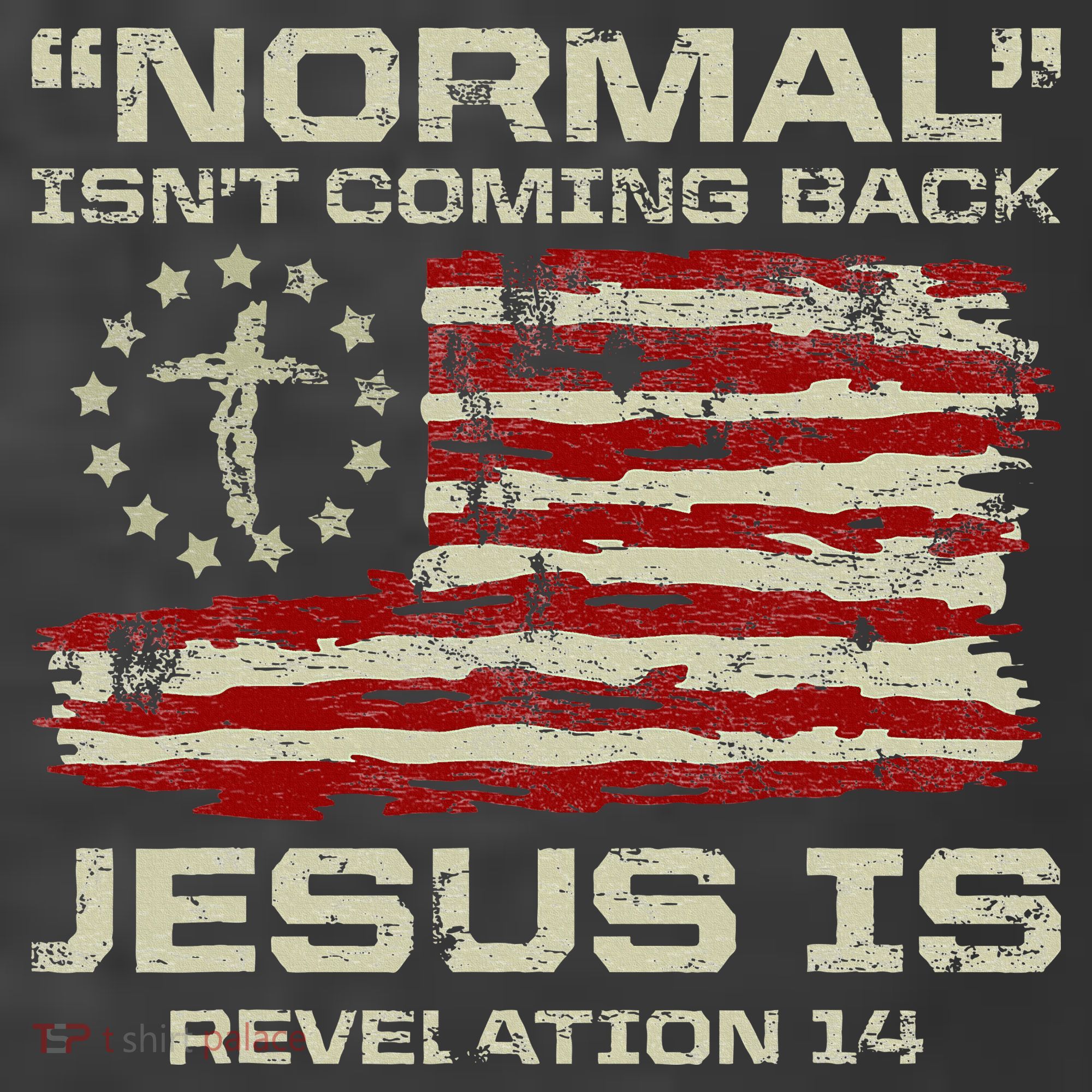 Normal IsnT Coming Back Jesus Is Christian American Flag T-Shirt