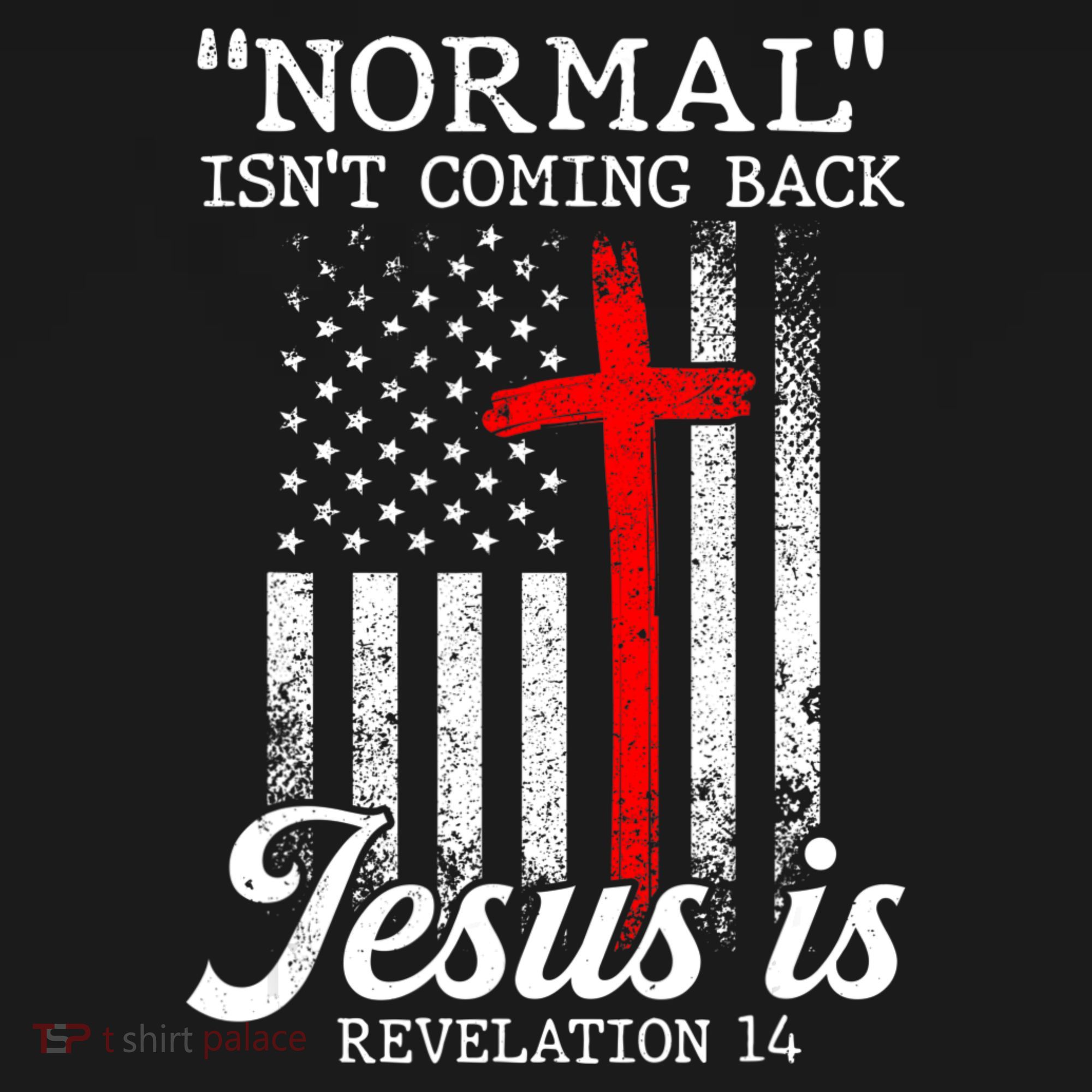 Normal Isn't Coming Back But Jesus Is Revelation Women Women's Tank Top