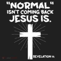 Normal Isn't Coming Back Jesus Is Christian Jesus Cross Hat thumb 2