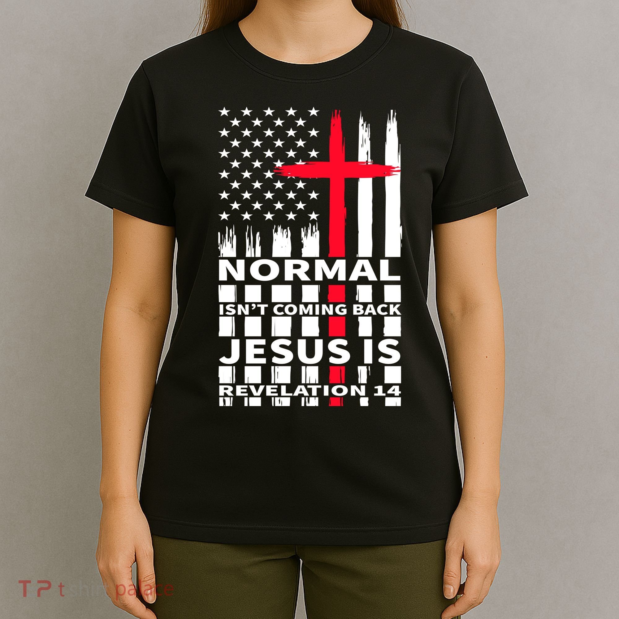 Norman Isnt Coming Back Jesus Is Revelation 14 Christ Christianity T-Shirt