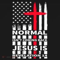 Norman Isnt Coming Back Jesus Is Revelation 14 Christ Christianity Women's Hoodie thumb 2