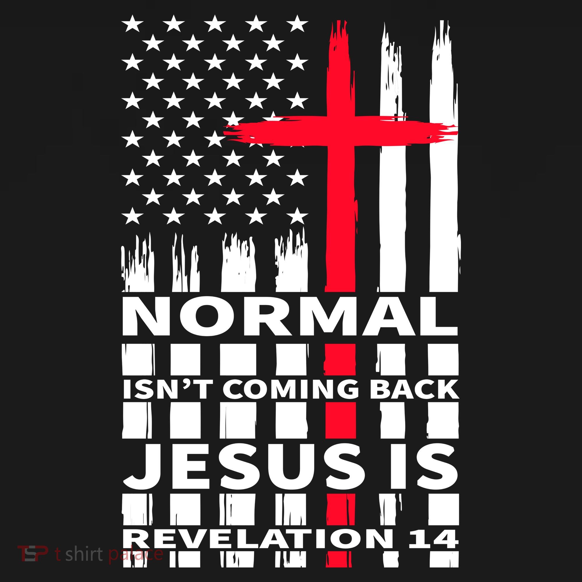 Norman Isnt Coming Back Jesus Is Revelation 14 Christ Christianity Women's Hoodie