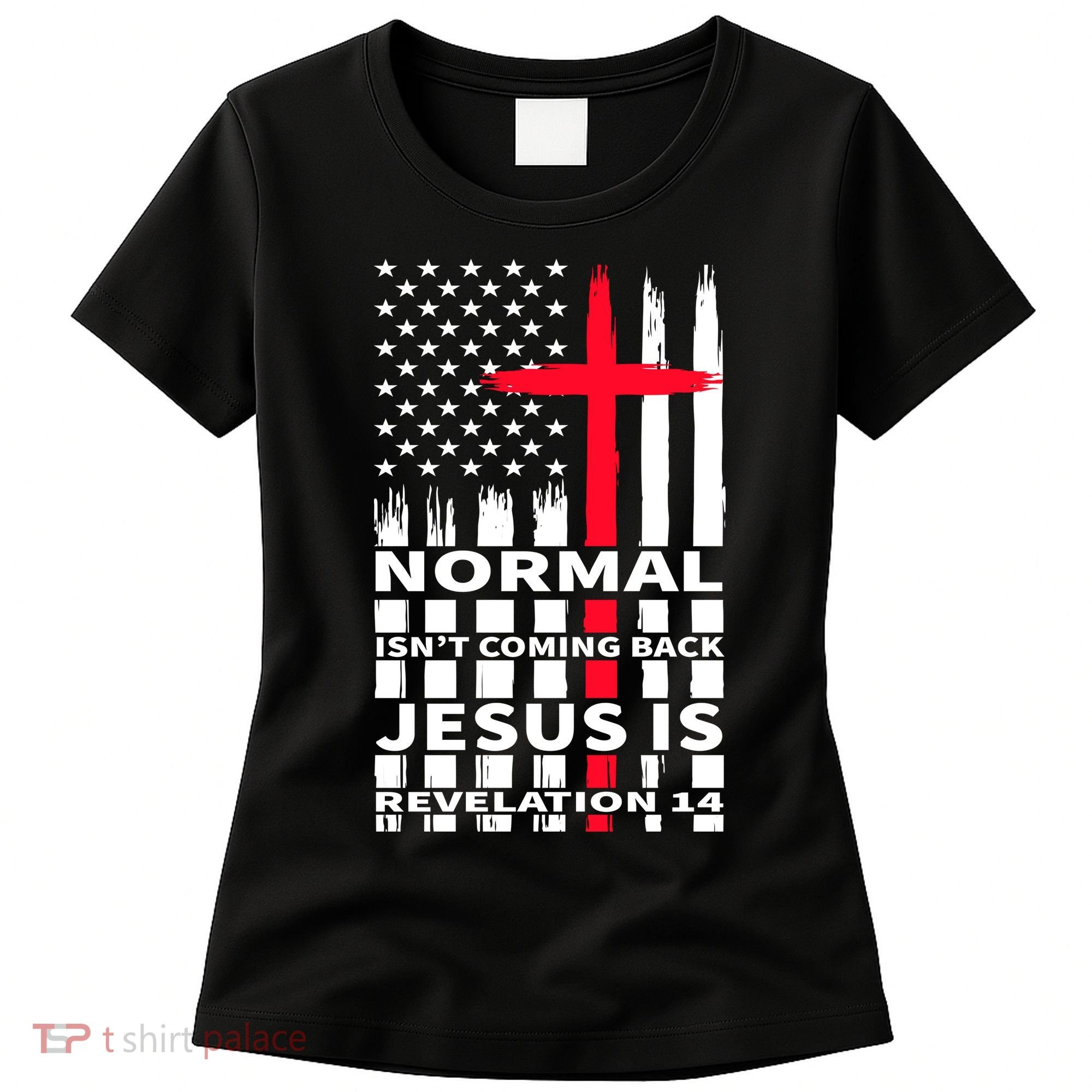 Norman Isnt Coming Back Jesus Is Revelation 14 Christ Christianity Women's T-Shirt