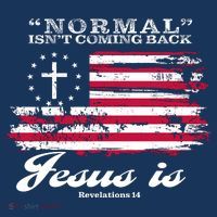 Normal Isn't Coming Back But Jesus Is Revelation 14 American Flag T-Shirt thumb 7