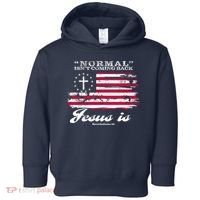 Normal Isn't Coming Back But Jesus Is Revelation 14 American Flag Toddler Hoodie thumb 0