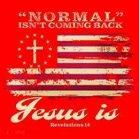 Normal Isn't Coming Back But Jesus Is Revelation 14 American Flag Santa Hat thumb 1
