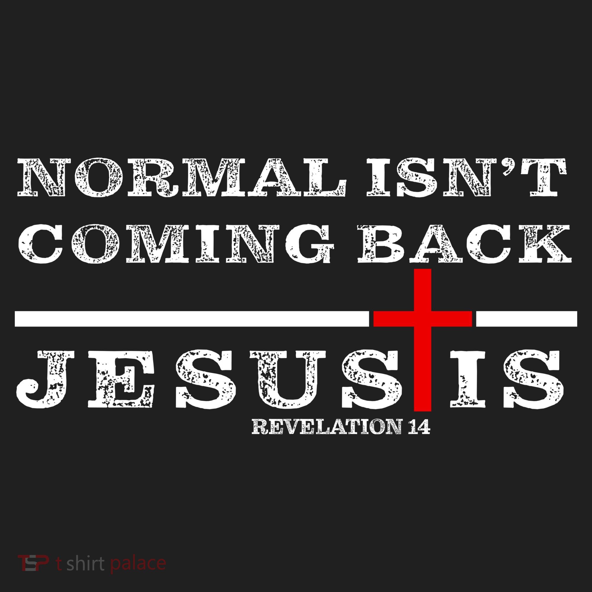 Normal Isn't Coming Back But Jesus Is Revelation 14 Women's Sweatshirt
