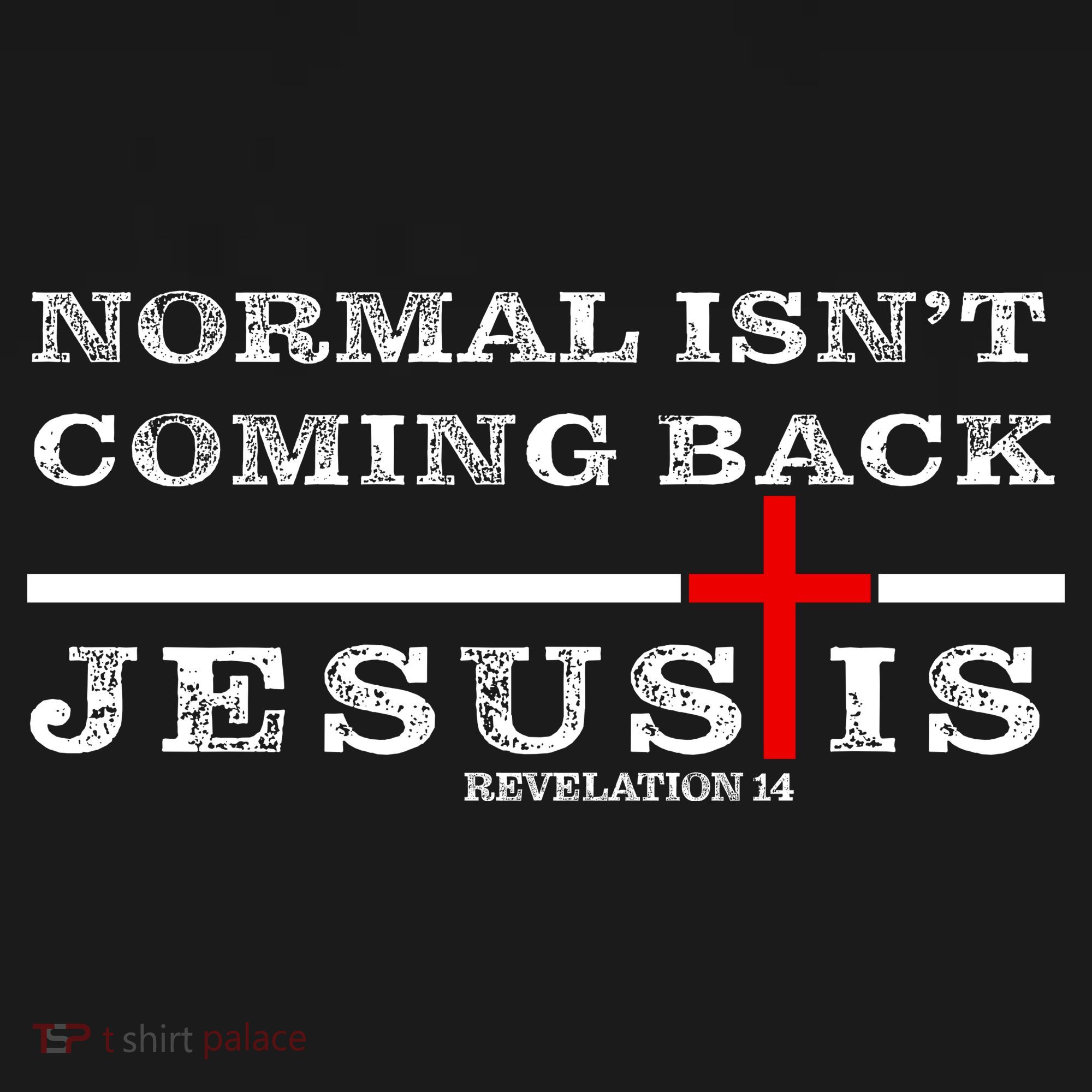 Normal Isn't Coming Back But Jesus Is Revelation 14 Toddler Hoodie