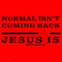 Normal Isn't Coming Back But Jesus Is Revelation 14 Santa Hat thumb 1