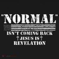 Norman Isnt Coming Back Jesus Is Revelation Christ Christianity Women's Hoodie thumb 2