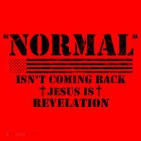 Norman Isnt Coming Back Jesus Is Revelation Christ Christianity Santa Hat thumb 1