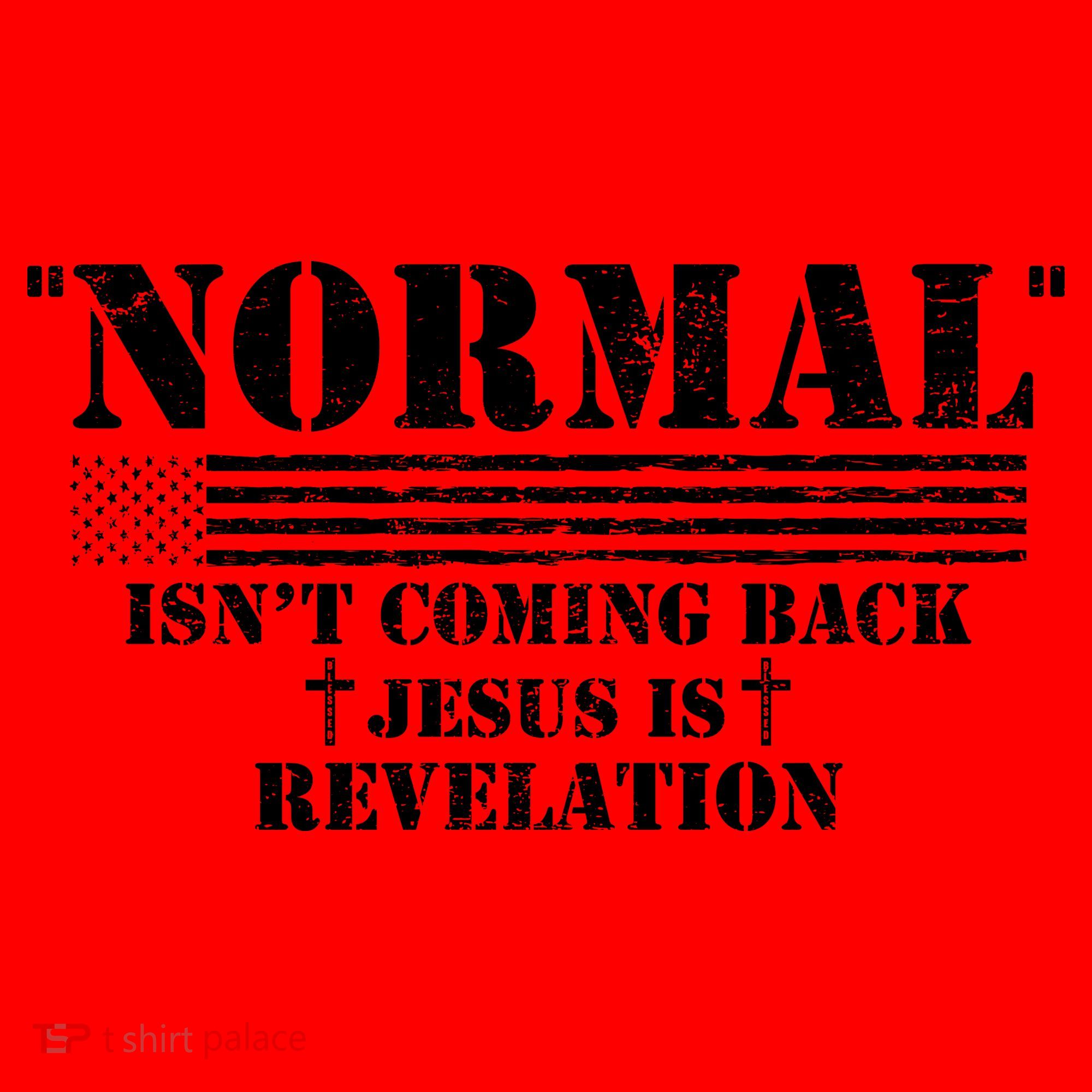 Norman Isnt Coming Back Jesus Is Revelation Christ Christianity Santa Hat