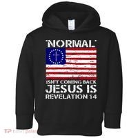 Norman Isnt Coming Back Jesus Is Revelation USA Flag Christianity Toddler Hoodie thumb 0