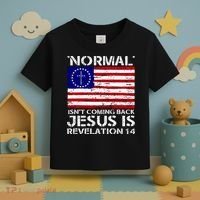 Norman Isnt Coming Back Jesus Is Revelation USA Flag Christianity Toddler T-Shirt thumb 3
