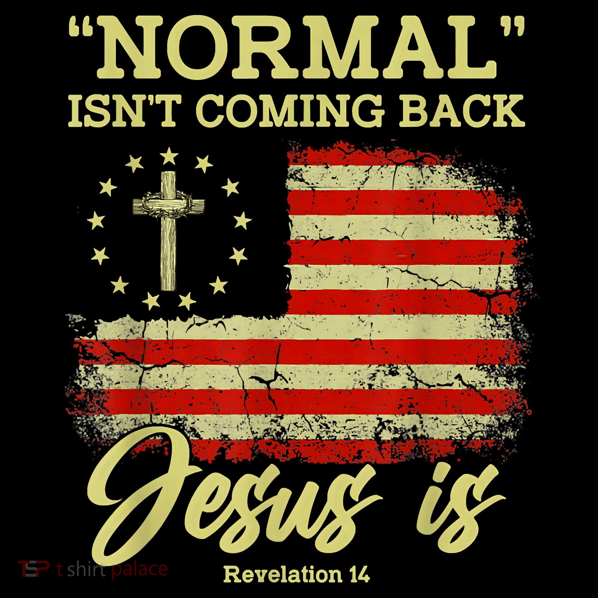 Normal Isn't Coming Back Jesus Is Revelation 14 Christian Hoodie
