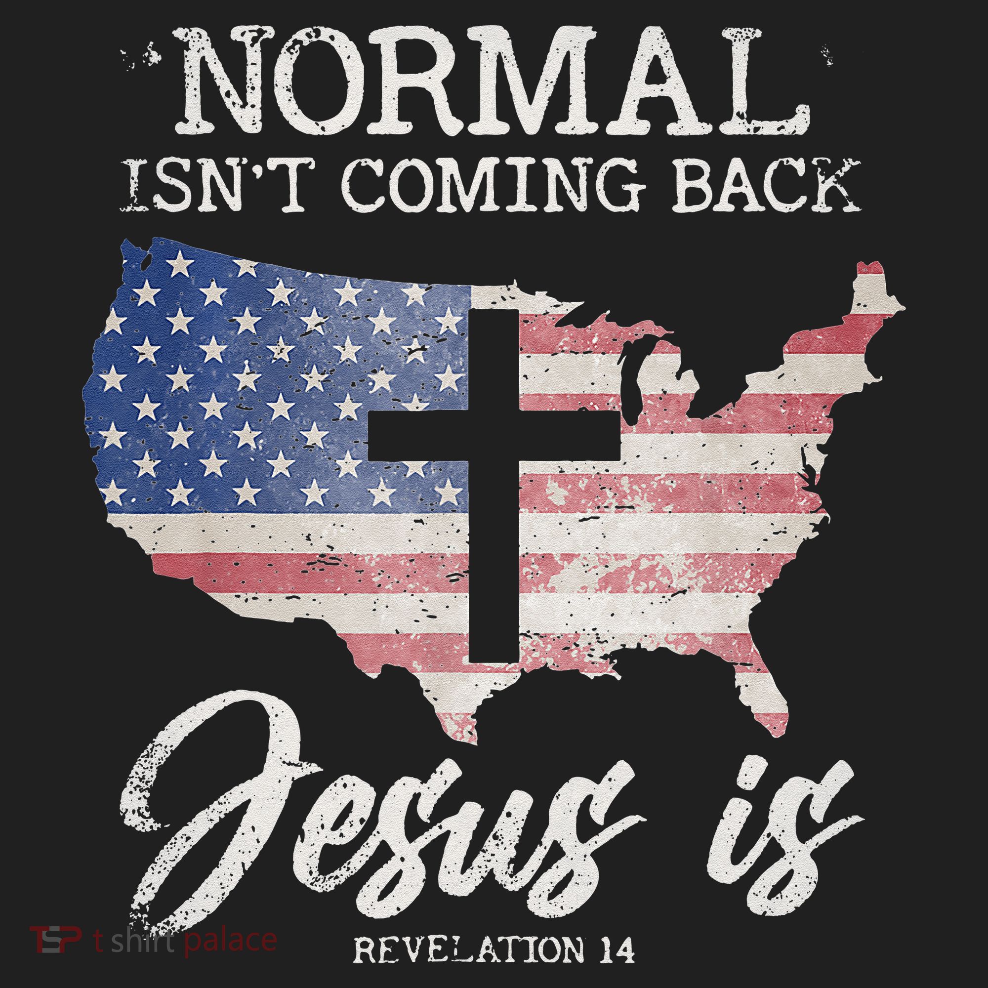 Normal Isn't Coming Back But Jesus Is Revelation 14 Ladies Heavyweight Boxy Pullover Hoodie