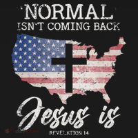 Normal Isn't Coming Back But Jesus Is Revelation 14 Women's Hoodie thumb 2