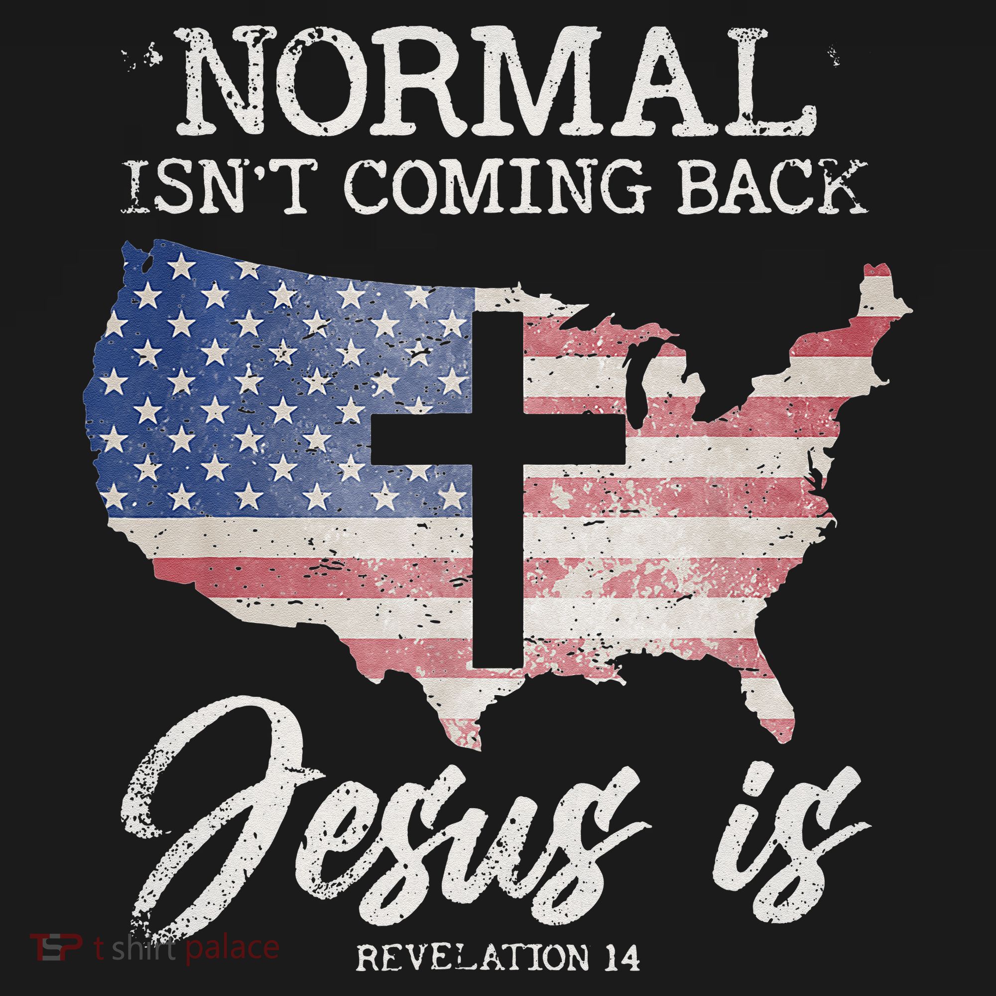 Normal Isn't Coming Back But Jesus Is Revelation 14 Women's Tank Top