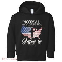 Normal Isn't Coming Back But Jesus Is Revelation 14 Toddler Hoodie thumb 0