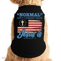 Normal Isn't Coming Back Jesus Is Distressed USA Flag Doggie Tank thumb 0