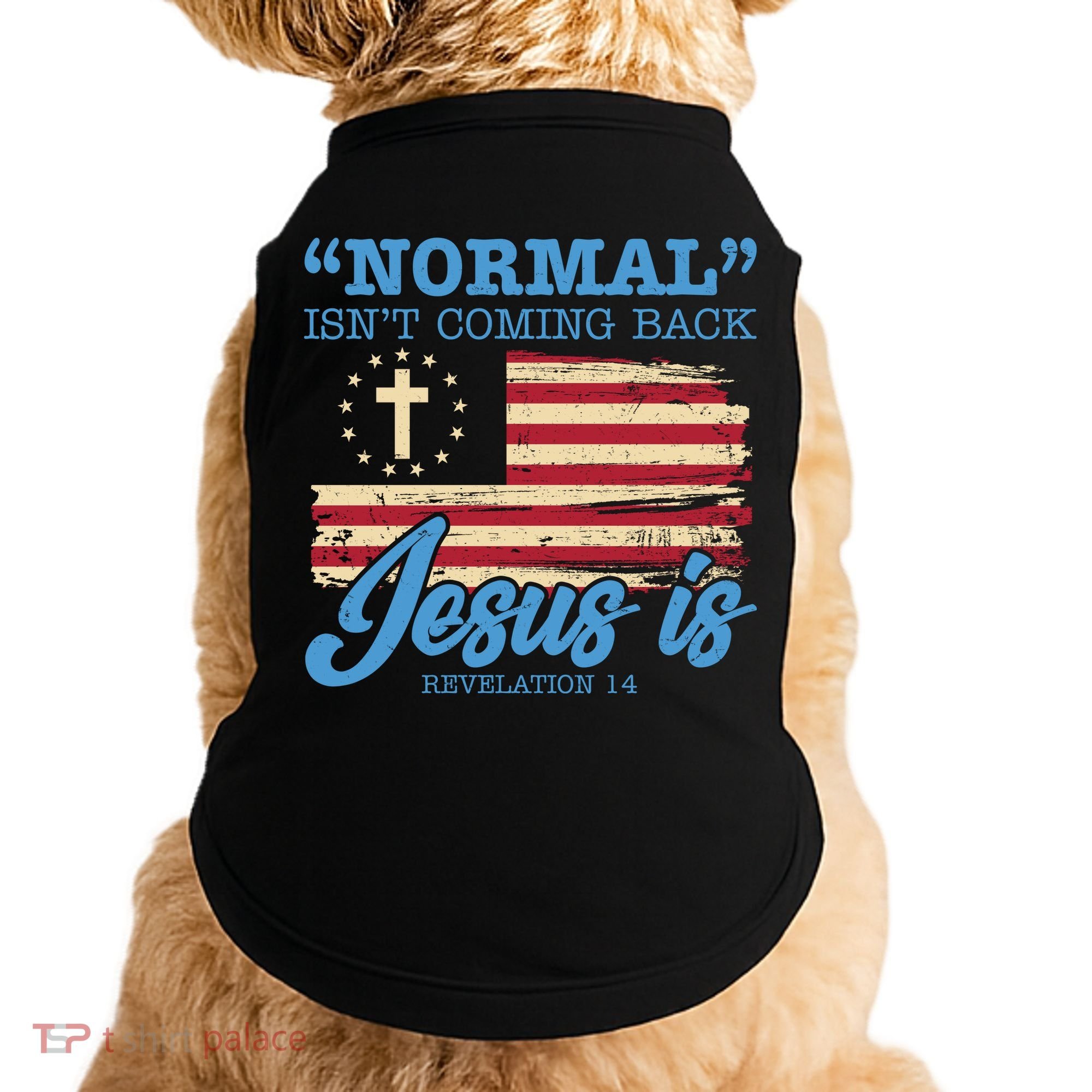 Normal Isn't Coming Back Jesus Is Distressed USA Flag Doggie Tank