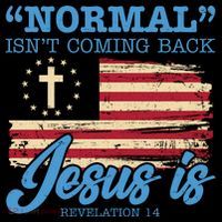 Normal Isn't Coming Back Jesus Is Distressed USA Flag Women's Tank Top thumb 5