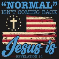 Normal Isn't Coming Back Jesus Is Distressed USA Flag Kids Sweatshirt thumb 2
