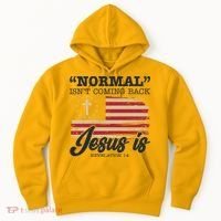 Normal Isn't Coming Back Jesus Is Distressed USA Flag Hoodie thumb 0