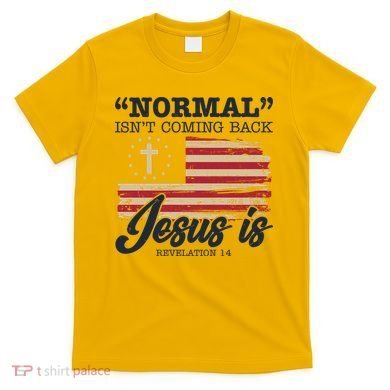 Normal Isn't Coming Back Jesus Is Distressed USA Flag T-Shirt