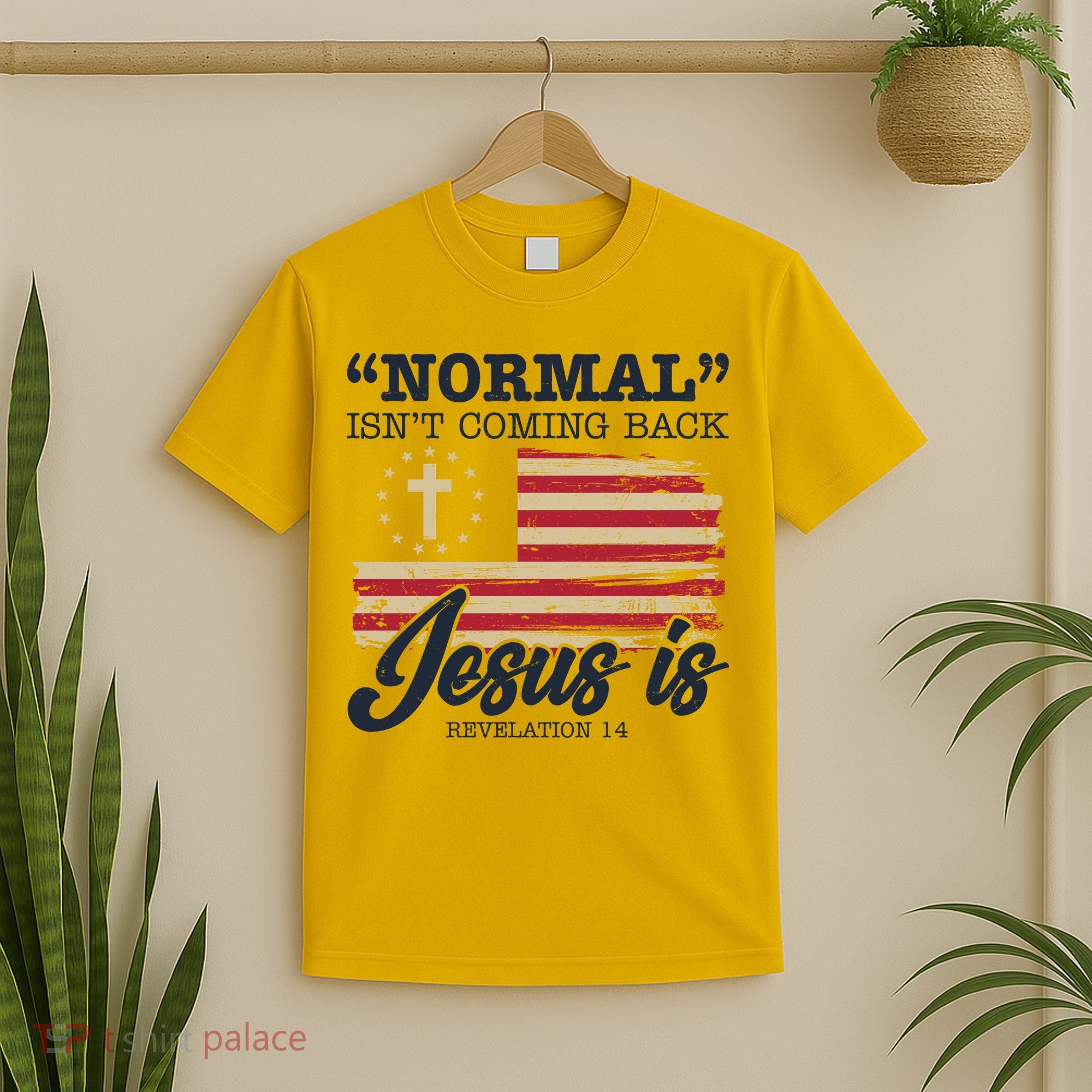 Normal Isn't Coming Back Jesus Is Distressed USA Flag T-Shirt