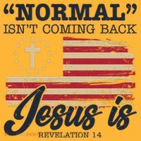 Normal Isn't Coming Back Jesus Is Distressed USA Flag Mousepad thumb 1