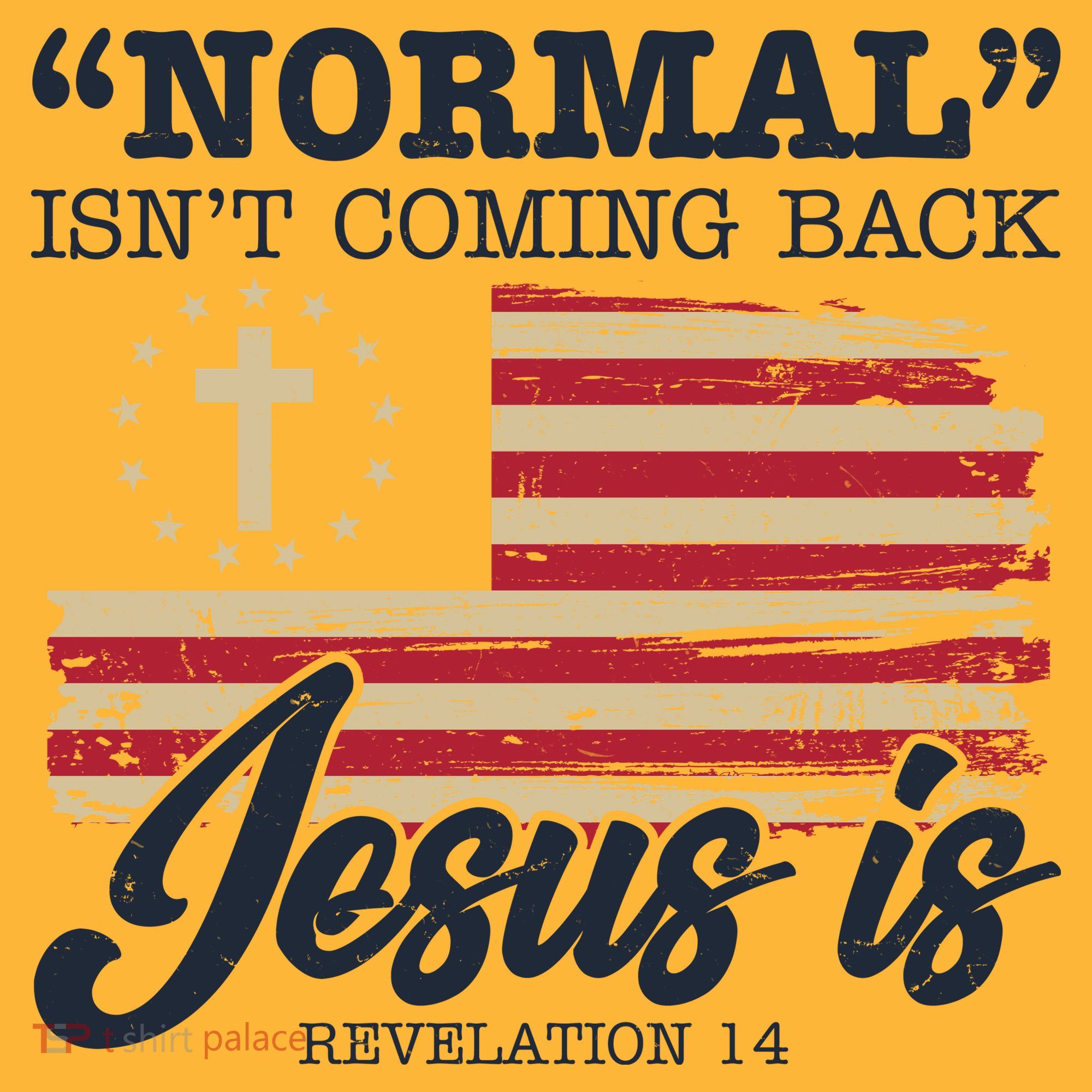 Normal Isn't Coming Back Jesus Is Distressed USA Flag Mousepad