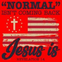 Normal Isn't Coming Back Jesus Is Distressed USA Flag Santa Hat thumb 1