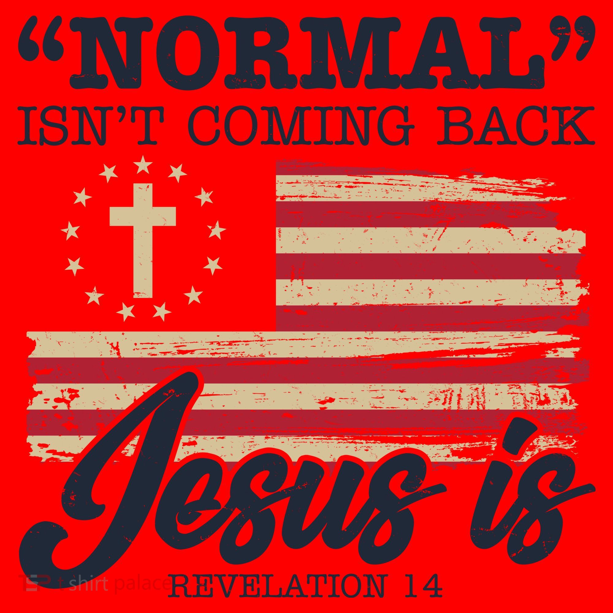 Normal Isn't Coming Back Jesus Is Distressed USA Flag Santa Hat