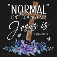 Normal Isnt Coming Back But Jesus Is Revelation 14 Flower Women's Hoodie thumb 2