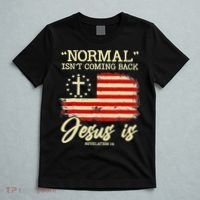 Normal Isn't Coming Back But Jesus Is Revelation 14 Costume T-Shirt thumb 5