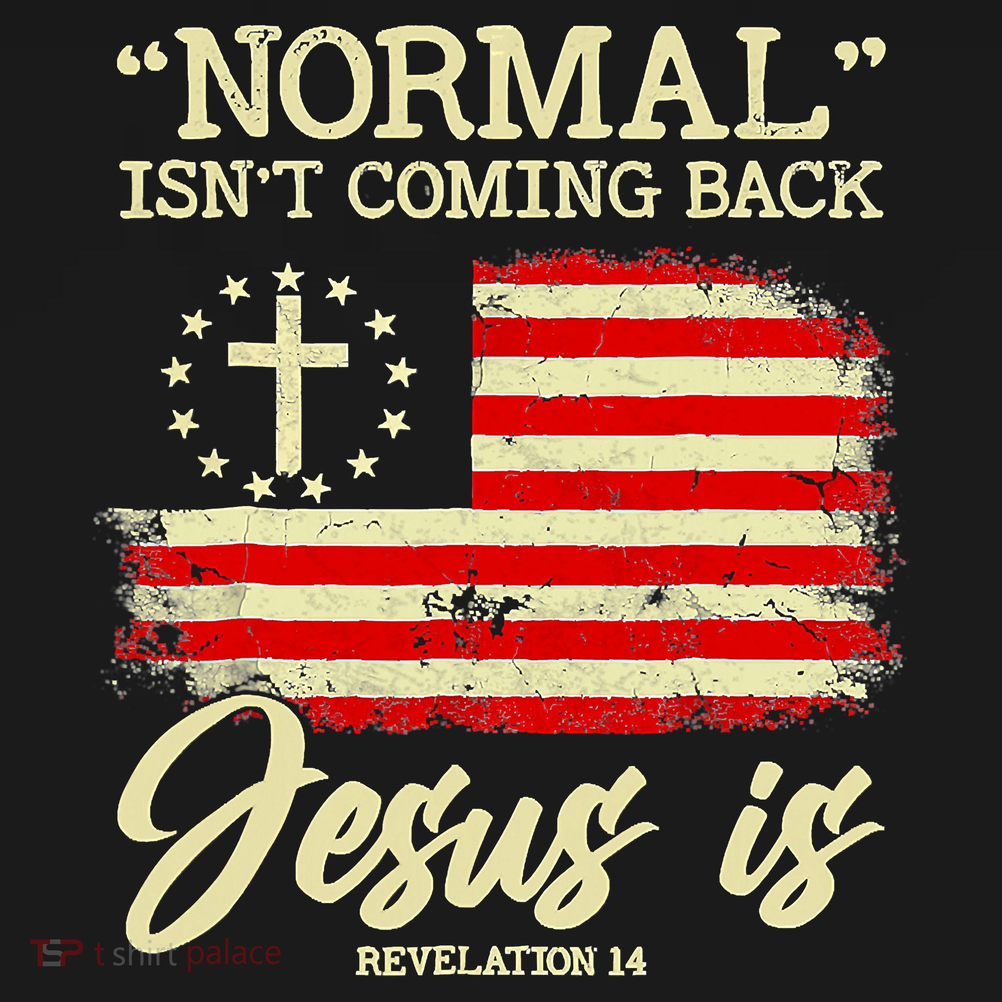 Normal Isn't Coming Back But Jesus Is Revelation 14 Costume T-Shirt