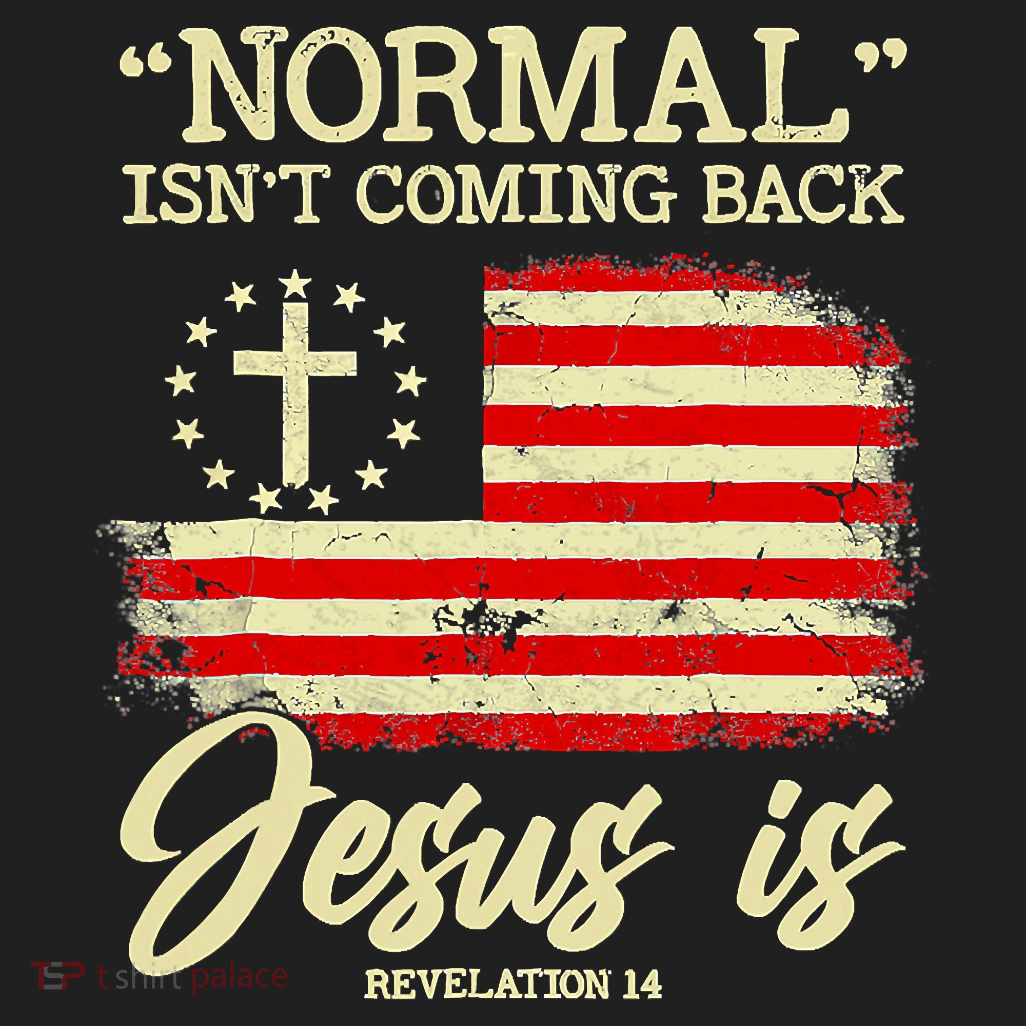 Normal Isn't Coming Back But Jesus Is Revelation 14 Costume Tumbler