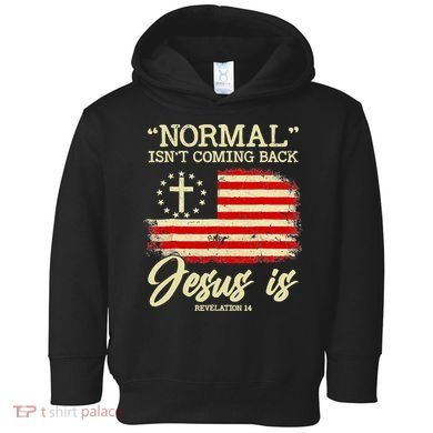 Normal Isn't Coming Back But Jesus Is Revelation 14 Costume Toddler Hoodie
