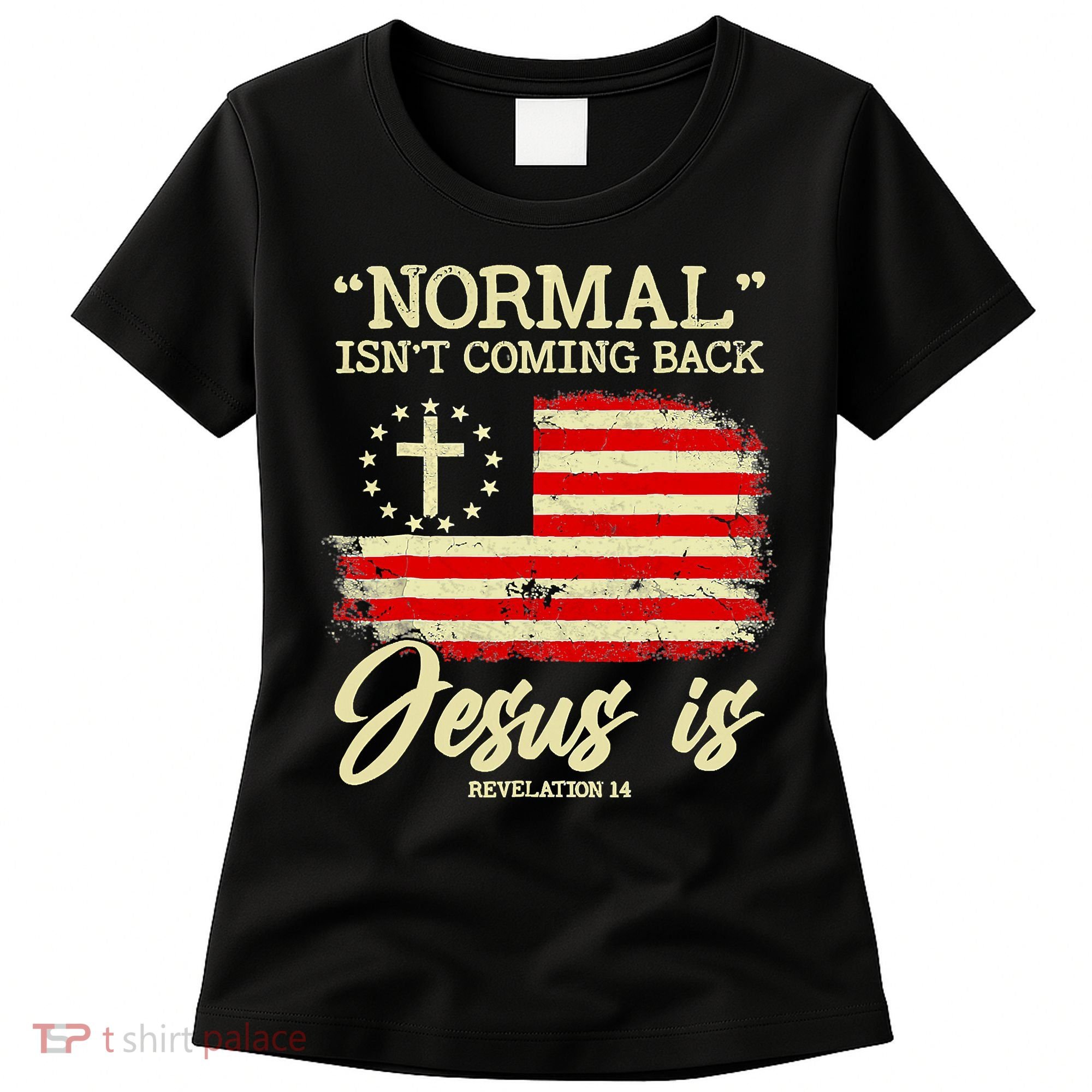 Normal Isn't Coming Back But Jesus Is Revelation 14 Costume Women's T-Shirt