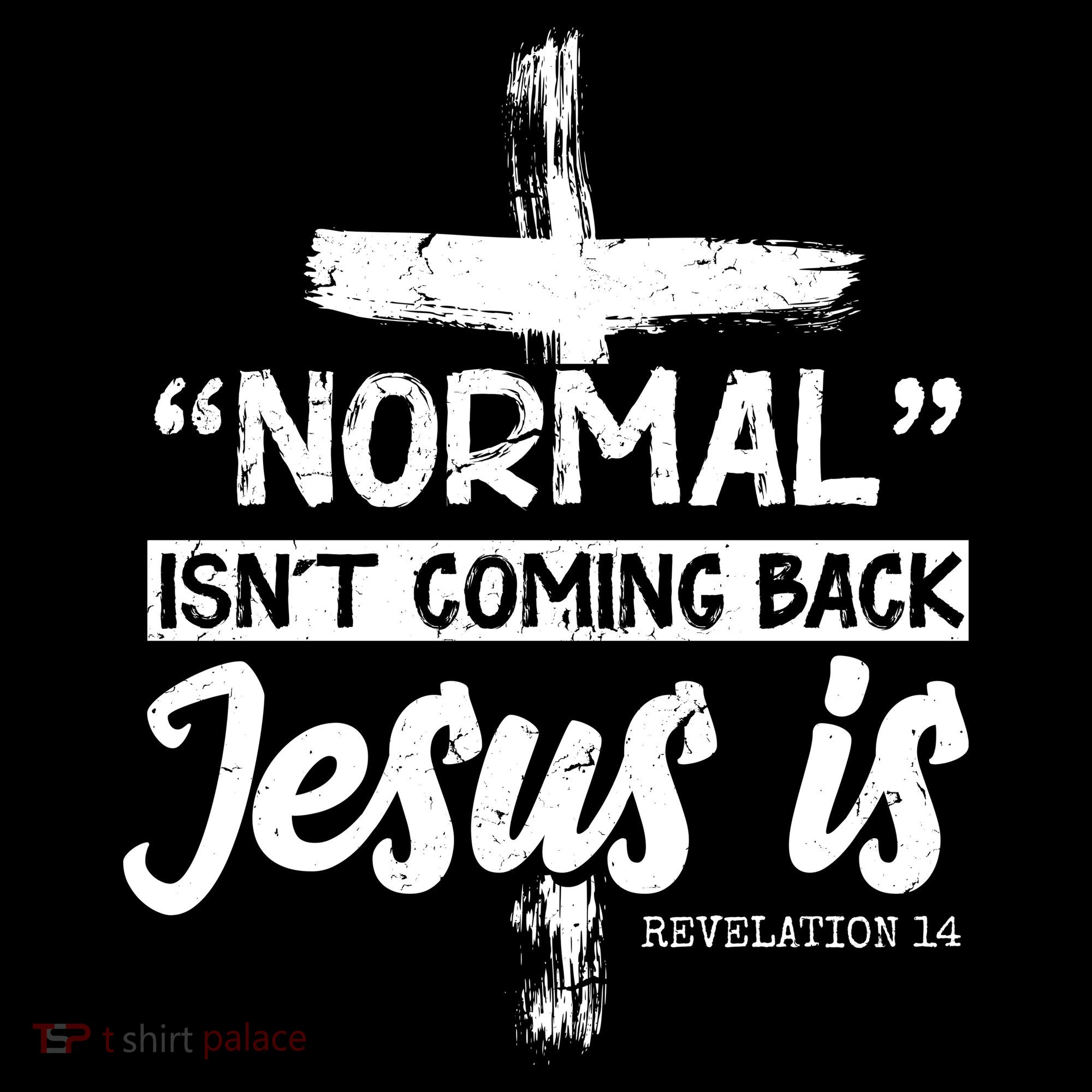Normal Isn't Coming Back Jesus Is Apron