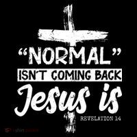 Normal Isn't Coming Back Jesus Is Toddler Hoodie thumb 2