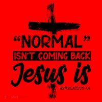 Normal Isn't Coming Back Jesus Is Santa Hat thumb 1