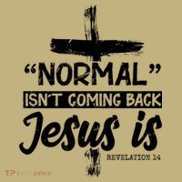 Normal Isn't Coming Back Jesus Is Hoodie thumb 7
