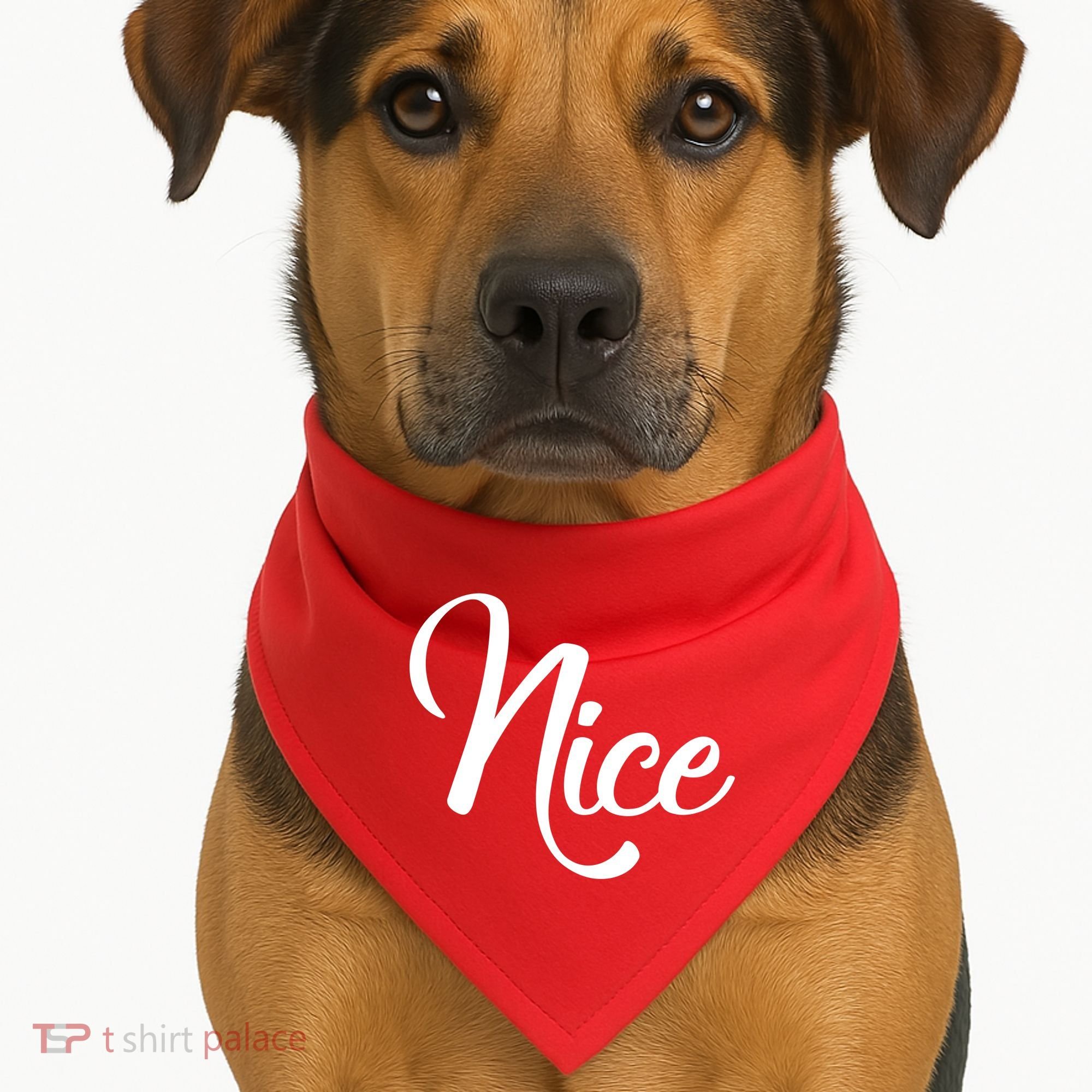 Nice Christmas Couples Naughty and Nice USA-Made Doggie Bandana