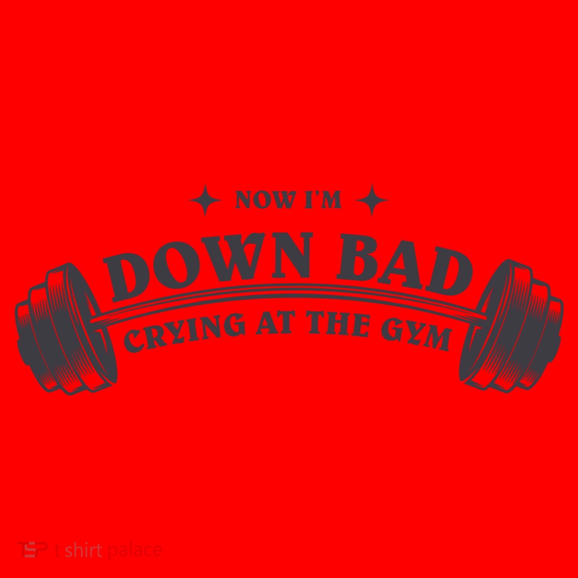 Now Im Down Bad Crying At The Gym Ttpd Album Santa Hat