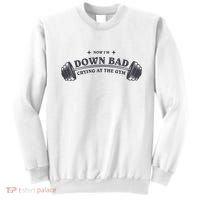 Now Im Down Bad Crying At The Gym Ttpd Album Sweatshirt thumb 0
