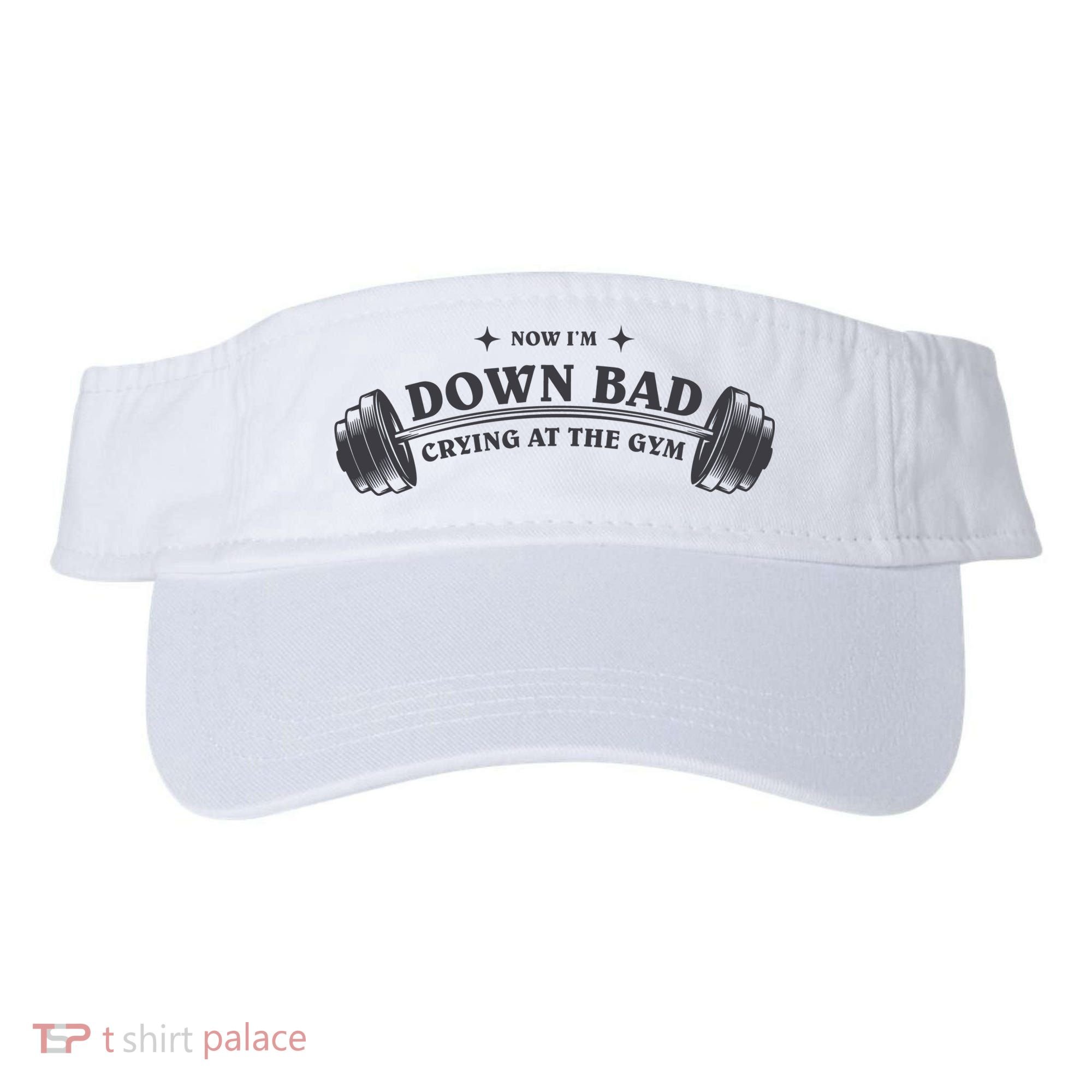 Now Im Down Bad Crying At The Gym Ttpd Album Visor